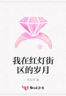 我在紅燈街區的歲月