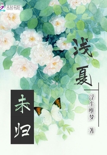 淺夏未歸