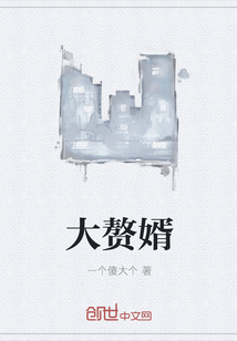 大贅婿