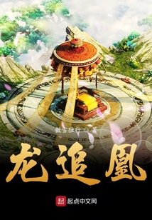 龙追凰
