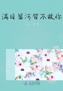 滿目星河皆不敵你