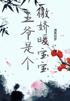 王爺是個傲嬌暖寶寶在線閱讀