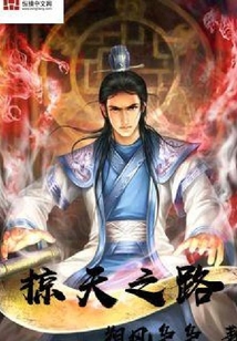 掠天之路