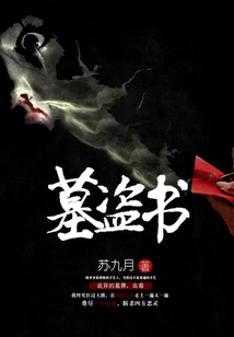 墓盗书 cover