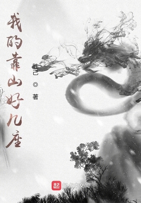 我的靠山好几座在线阅读