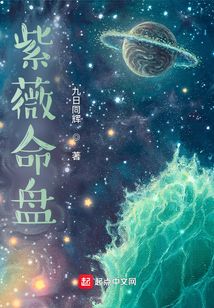 紫薇命盤