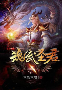 魂武圣君