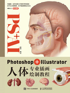 Photoshop+Illustrator人体专业插画绘制教程在线阅读