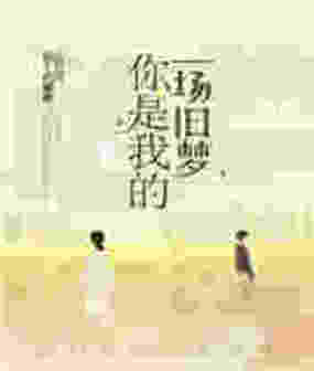 你是我的一场旧梦在线阅读