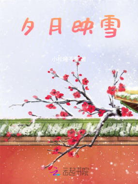 夕月映雪在线阅读