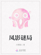 凤影谜局在线阅读