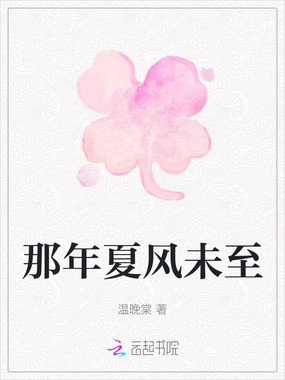 那年夏风未至在线阅读