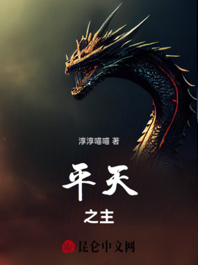 平天之主在线阅读