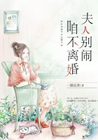 夫人別鬧，咱不離婚！在線閱讀