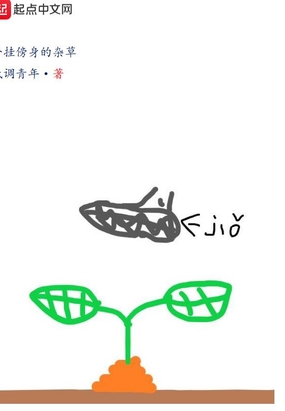 外挂傍身的杂草在线阅读