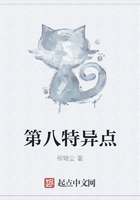 第八特异点在线阅读
