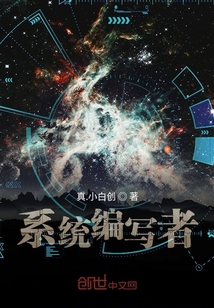 系統編寫者