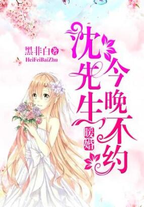 暖婚:沈先生,今晚不约!在线阅读