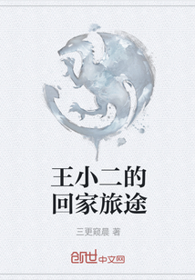 王小二的回家旅途