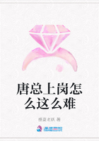 唐总上岗怎么这么难在线阅读