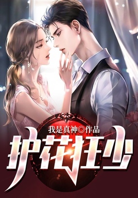 护花狂少在线阅读