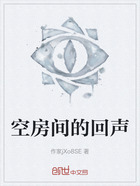空房间的回声在线阅读