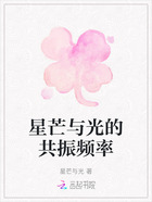 星芒与光的共振频率在线阅读