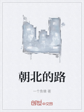 朝北的路在线阅读