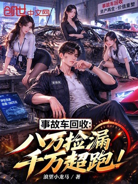 事故车回收:八万捡漏千万超跑!在线阅读