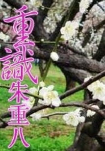 重識朱重八