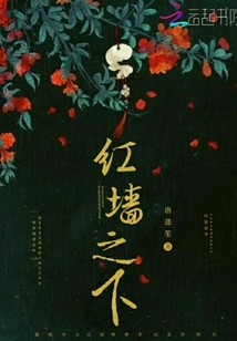 紅墻之下