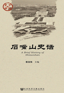 石嘴山史話（中國史話·社會系列）