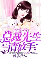 孽爱囚宠:总裁先生请放手