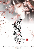 可曾看到我的心在线阅读