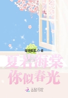 夏若海棠你似春光在線閱讀