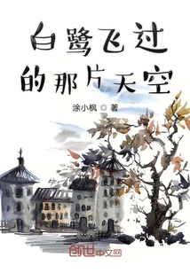 白鷺飛過的那片天空