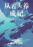 从石头养成记