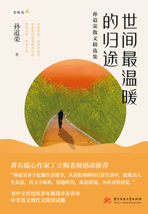 世間最溫暖的歸途:孫道榮散文精選集