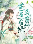 芭蕉分綠與窗紗在線閱讀