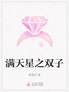 满天星之双子在线阅读
