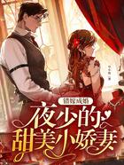 错嫁成婚:夜少的甜美小娇妻在线阅读