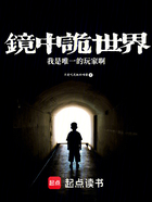 鏡中詭世界，我是唯一的玩家啊在線閱讀