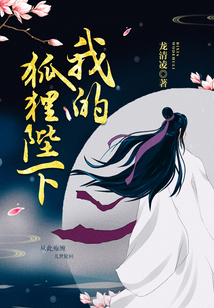 我的狐貍陛下