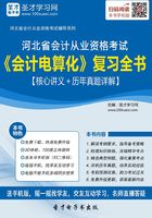 河北省会计从业资格考试《会计电算化》复习全书【核心讲义＋历年真题详解】在线阅读