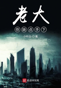 老大你缺点手下