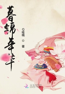 暮錦年華