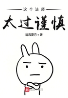 這個法師太過謹慎在線閱讀