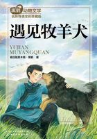 黑鹤动物小说名师导读版：遇见牧羊犬