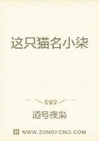 魔道異途在線閱讀