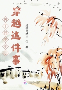 關于我不小心穿越這件事